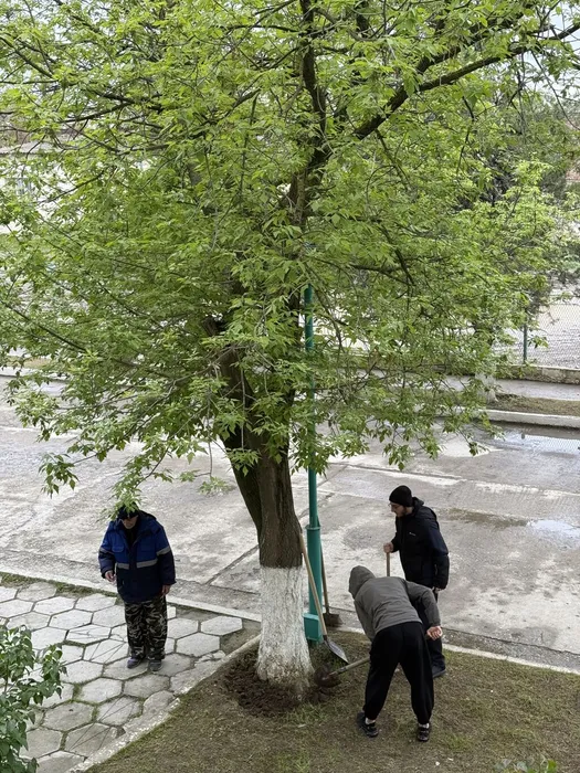 image-27-04-26-09-16-2