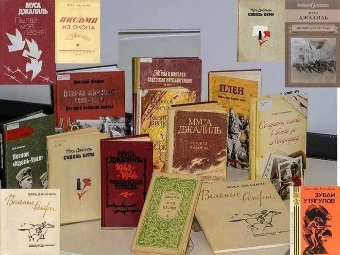 9ed085bd-755e-52b2-a319-a58c50234eef