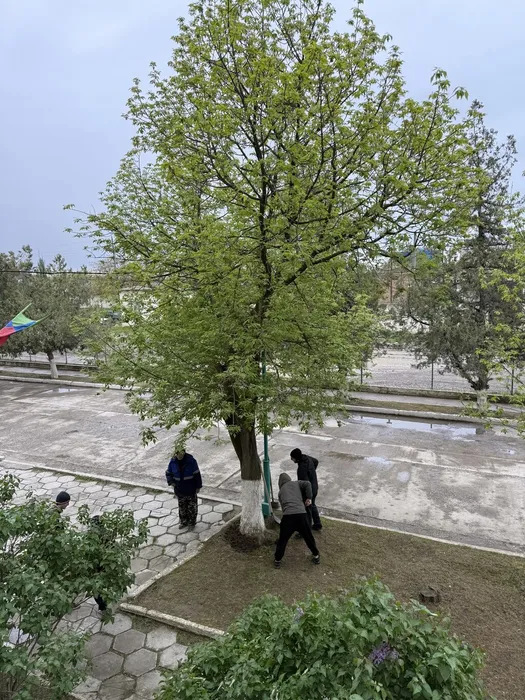 image-27-04-26-09-16